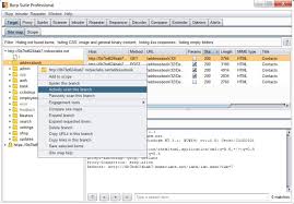 Burp Suite Pro 2020.11.1 Crack