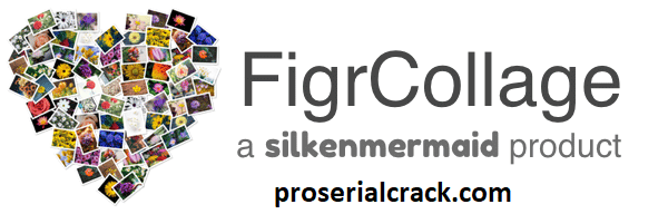 FigrCollage Pro Crack